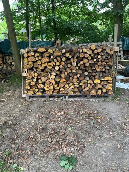Palivové dřevo - 3