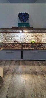 Prodám terarium - 3