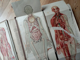 Šimsa - Přírodní léčba a domácí lékař I.+II.díl - 3