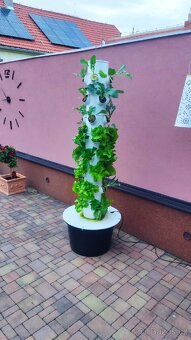 Hydroponická věž - 6 pater - 3