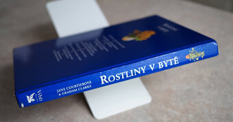 Rostliny v bytě - 3