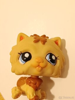 Littlest pet shop kočička Chow Chow #1983 - 3