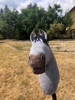 Hobby horse šedý grošák - 3