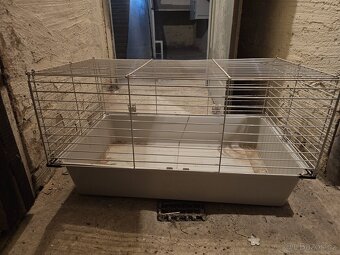 Klece, terarium. - 3