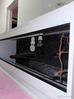 Zánovní terárium - 3