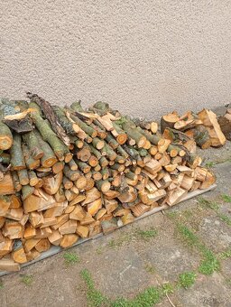 Třešeň dřevo - 3