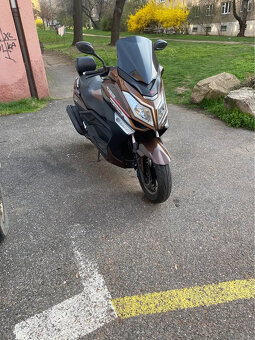 kentoya maximus 125 - 3