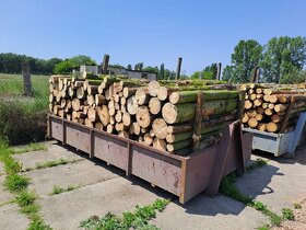 Palivové drevo převážně borovice - 3