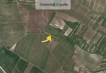 Prodej vinice v k.ú. Starovičky - 3