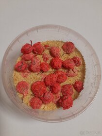 Rohlíkové boilies - 3