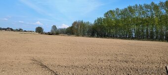 Velká oplocená ZAHRADA 7.141m2 - 3