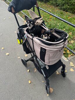 Kocarek pro pejsky psy Fikago - 3