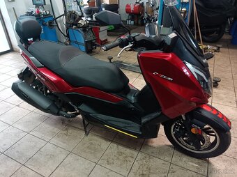 Maximus Caesar 125 - 3