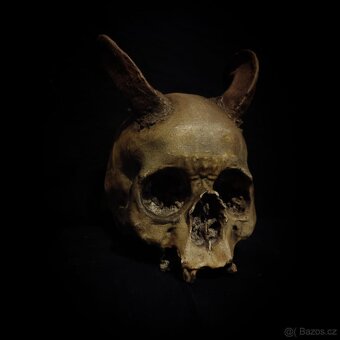 Lidská lebka rohy - 3