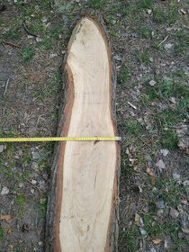 Dubová fošna zvláštního tvaru, síla 4cm, i jiné rovné dubové - 3