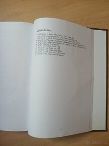 Rigorózní/ diplomová/ závěrečná práce na VŠ - 3
