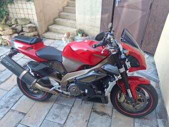 Aprilia rsv tuono - 3