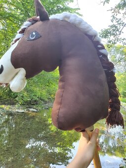 Hobby horse - 3