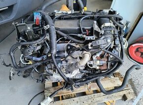 Motor Ford Výměna motoru možná T1DA T1DB DV4C UBGA UFDB UFDA - 3
