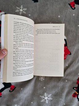 Ugly Love - Colleen Hooverová - 3