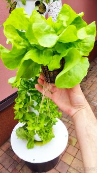 Hydroponicka věž - 7 pater - 3