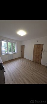 Pronájem bytu 1+1 35 m² Smetanova, Aš - 3