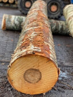 Kamión bříza ❗ - 3