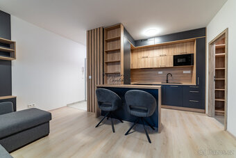 Pronájem novostavby 2+kk s balkonem a parkovacím místem, Zbů - 3