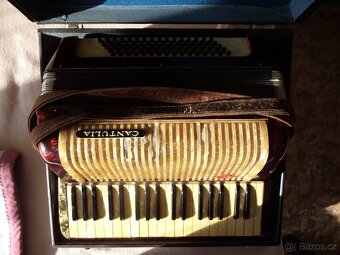 akordeon Cantulia - 3