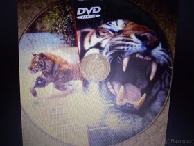 DVD filmy - 3