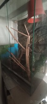 Terárium 80x60x40 cm - 3