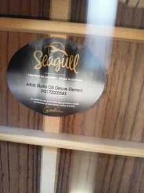 Seagull Artist Studio CW Deluxe Element - 3