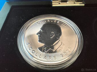 Maple Leaf 1 oz – investiční sběratelská mince + etue - 3