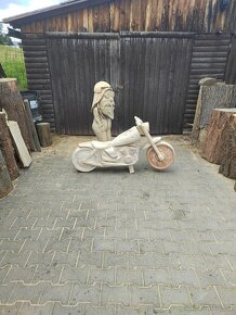 motorka motorovou pilou - 3