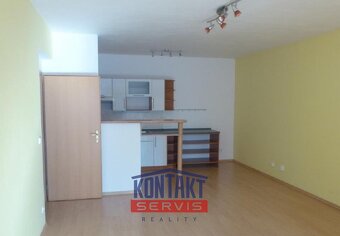 Pronájem bytu 1+kk s prostorným balkónem, U trojice, České B - 3