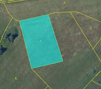 Prodej pole 15737 m² - Kameničky - 3