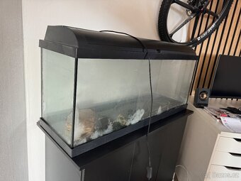 Osvětlené akvárium, filtrace, skříň - 3