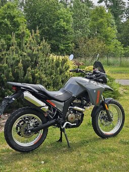 Malaguti Dune 125 ABS - 3
