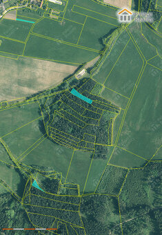 Prodej lesa 40.909 m2, obec Skály, okr. Strakonice - 3