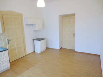 Prostorný byt 2+1 na Klatovské třídě - 3