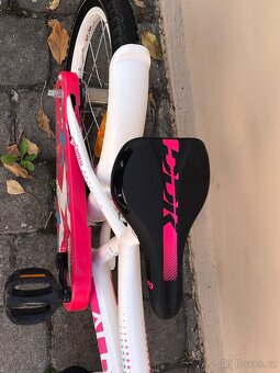 Alpina Starter 16" - 3