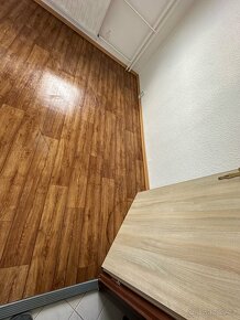 Lino koberec dveře - 3