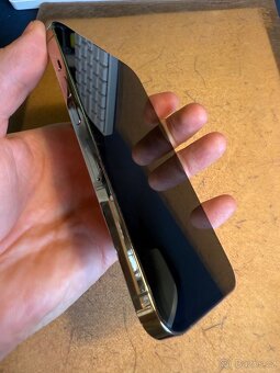 iPhone 13Pro - 256GB - gold - 3