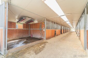 Ustájení koní – Telce u Peruce - 3