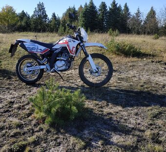 Sachs ZX 125 - 3