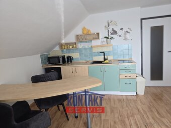Pronájem vybaveného bytu 1+kk 39 m², Hluboká nad Vltavou - 3