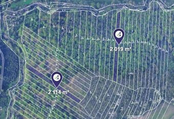 Prodej podílu 1/2 lesa 9 147 m², Ořechov - 3