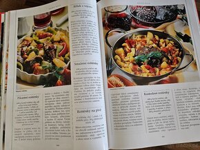 Velká česká kuchařka/Obrazová kuchařka/Rychlé pokrmy aj. - 3