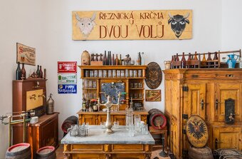 Sbírám STARÉ PIVNÍ LAHVE, SKLENICE, PÍPY, PULLITRY NA PIVO - 3
