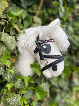 Hobby horse - 3